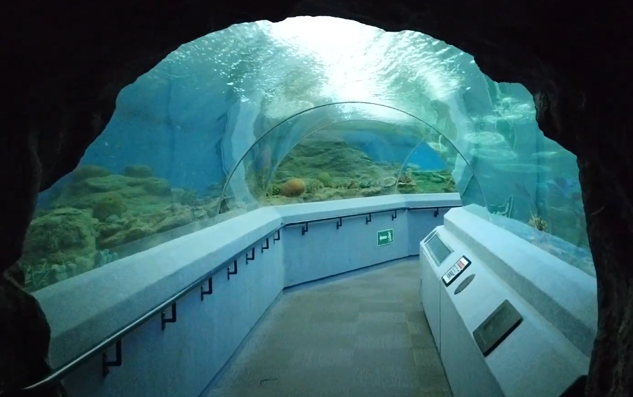 Underwater World Pattaya