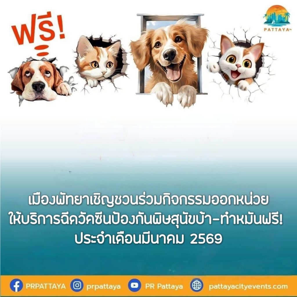 Pattaya City invites you to join the unit's activities to provide free rabies vaccinations and sterilizations! For the month of March 2026