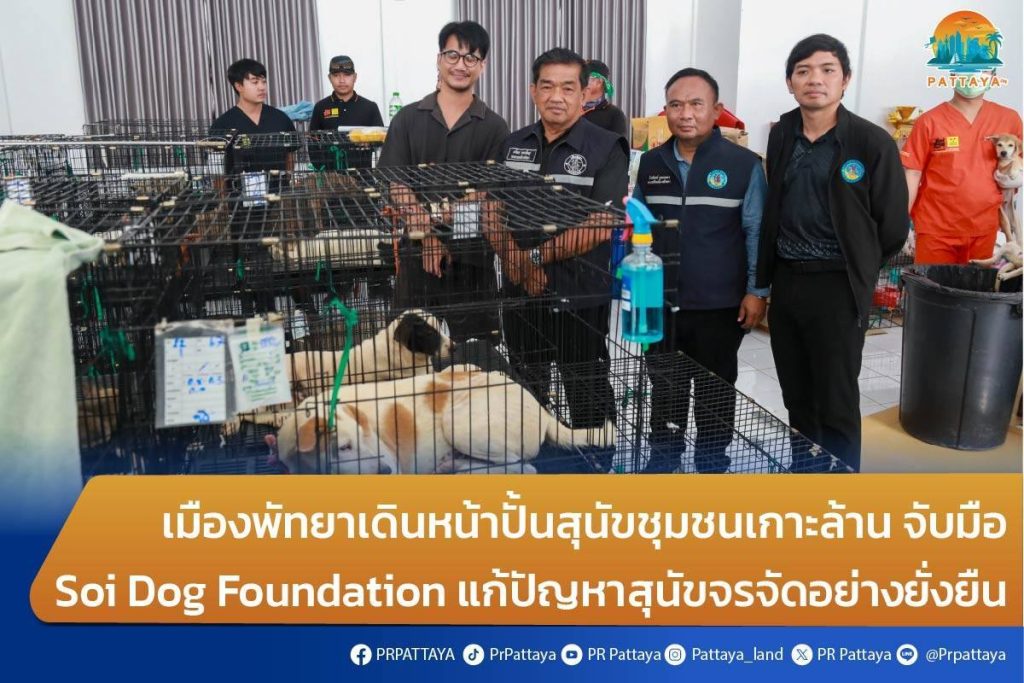 Pattaya City moves forward in creating community dogs on Koh Larn, joining hands with Soi Dog Foundation to solve the stray dog ​​problem sustainably.